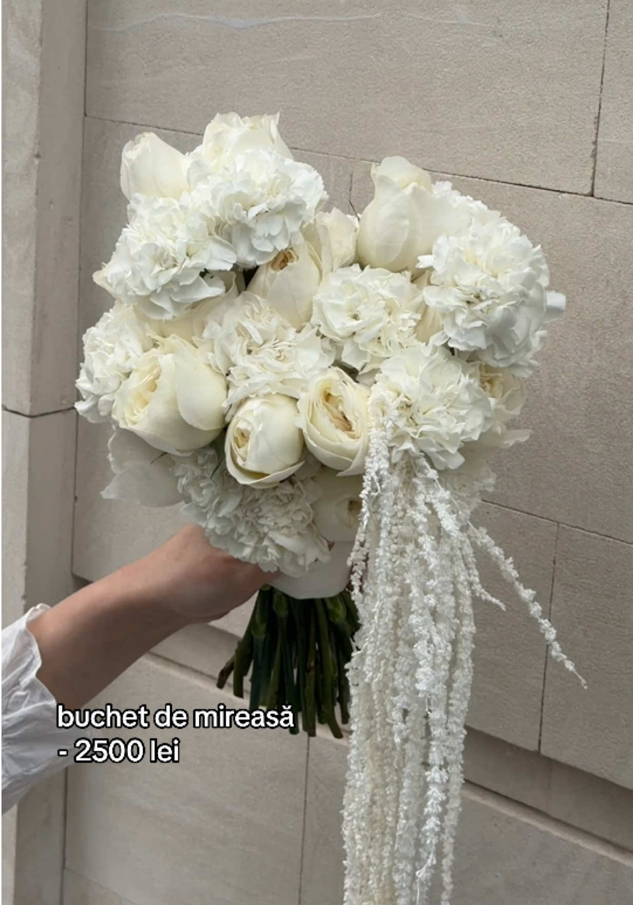 @iubidubi flowers