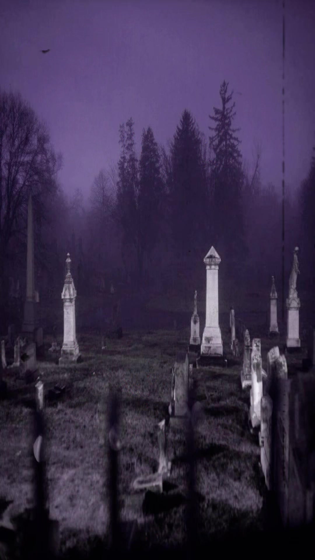 @𝕻𝖗𝖊𝖙𝖙𝖞 𝕯𝖊𝖆𝖉 𝕯𝖔𝖑𝖑