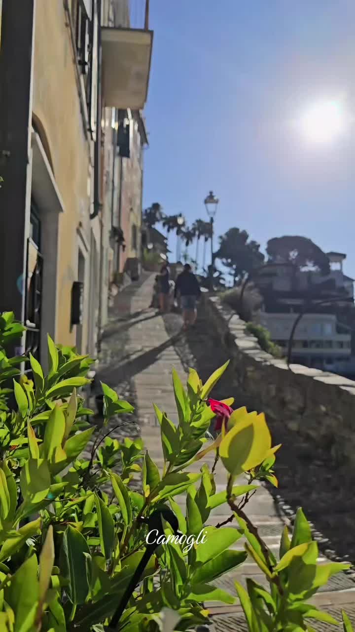 @Antonia Vecchi