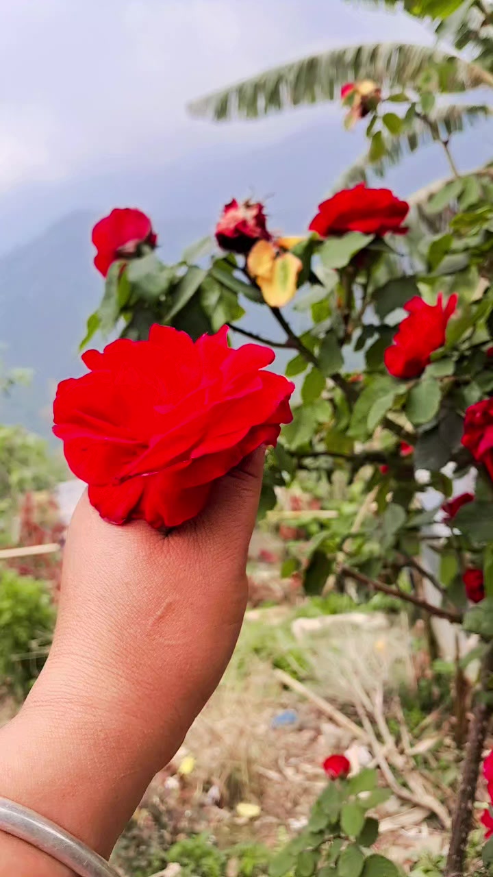 @जलेको💔मन🔥🥀