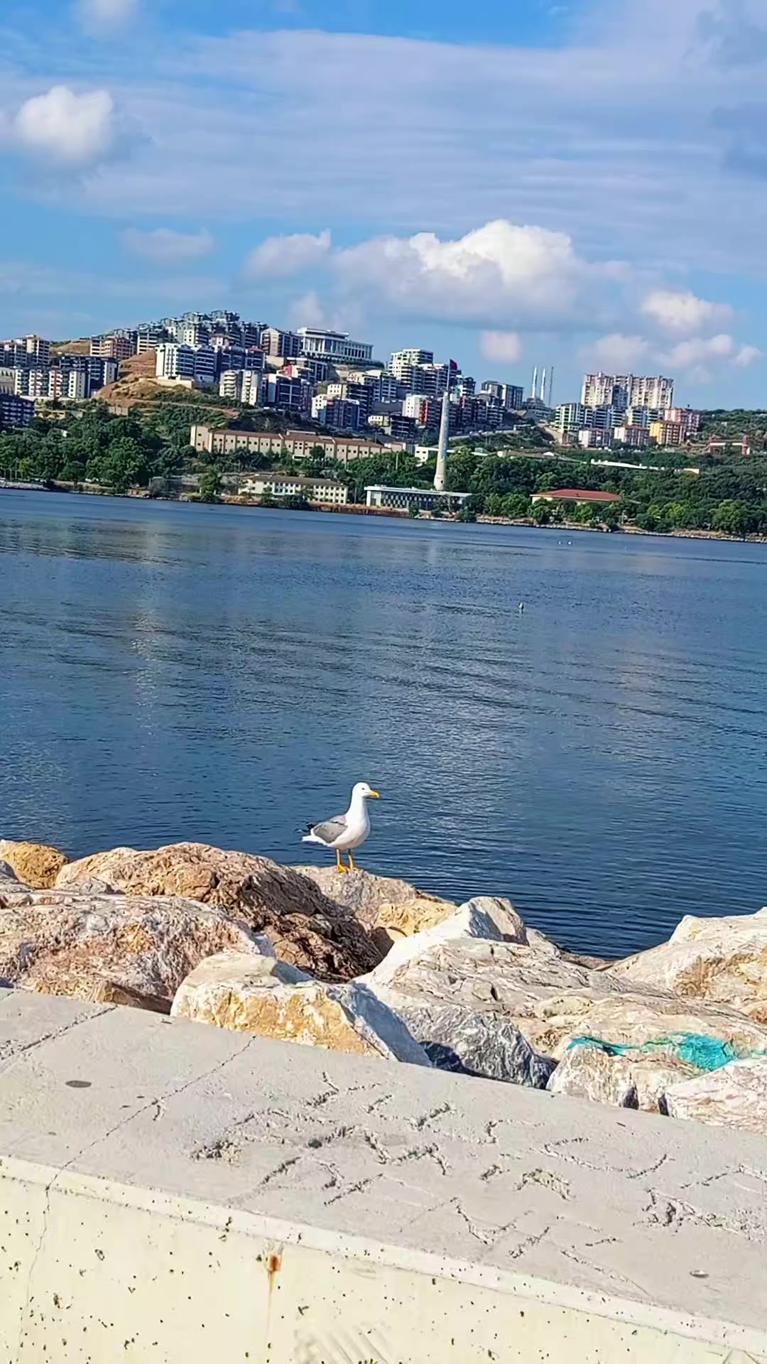 @🕊️_Egana_Shakh_🕊️