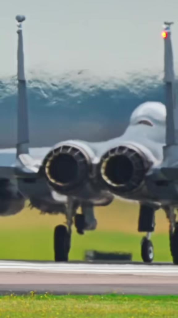 @الشاوي 🔥🇩🇿المتمرد🕸️ 🛩💙