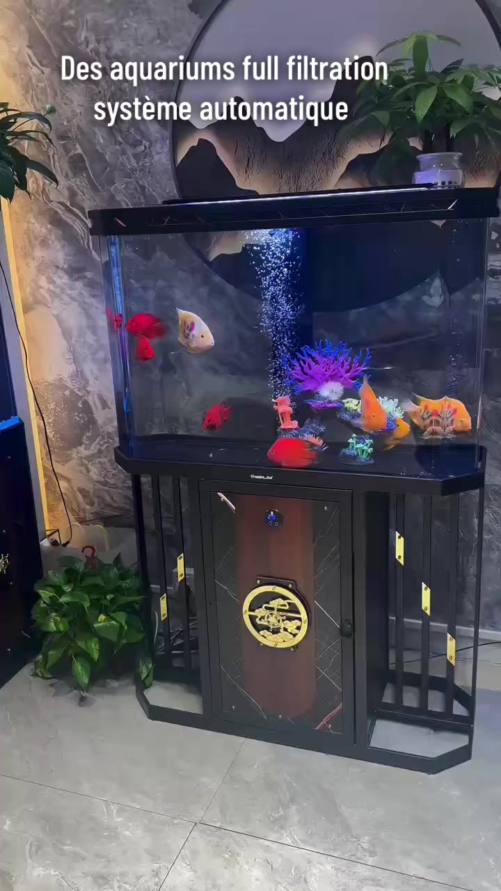 @momobusnesschina🇨🇳