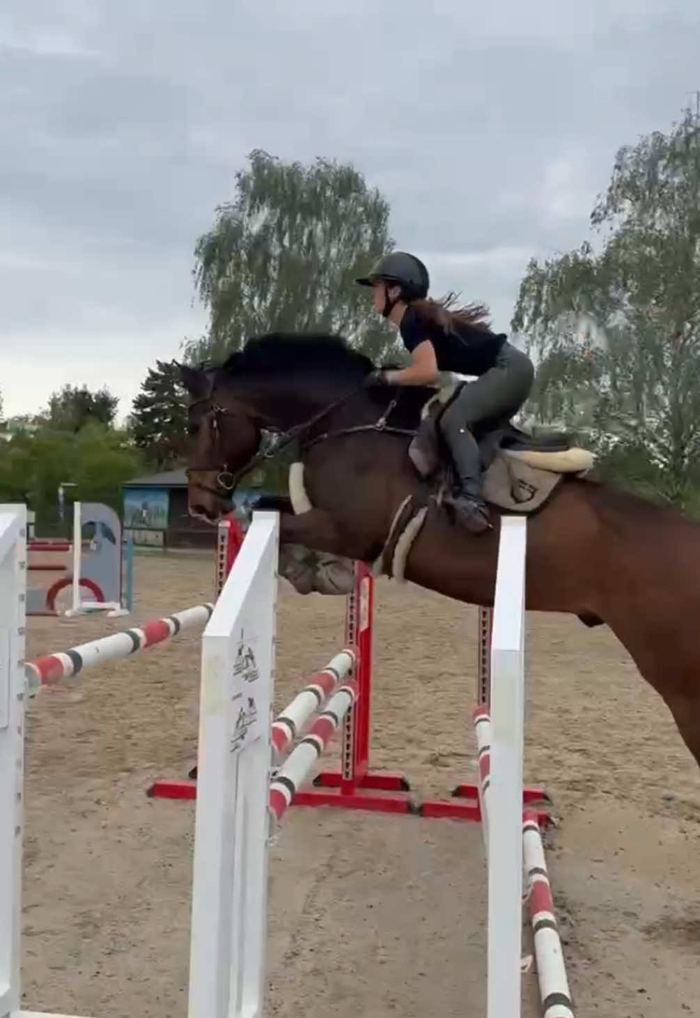 @La.Dolce.Horses