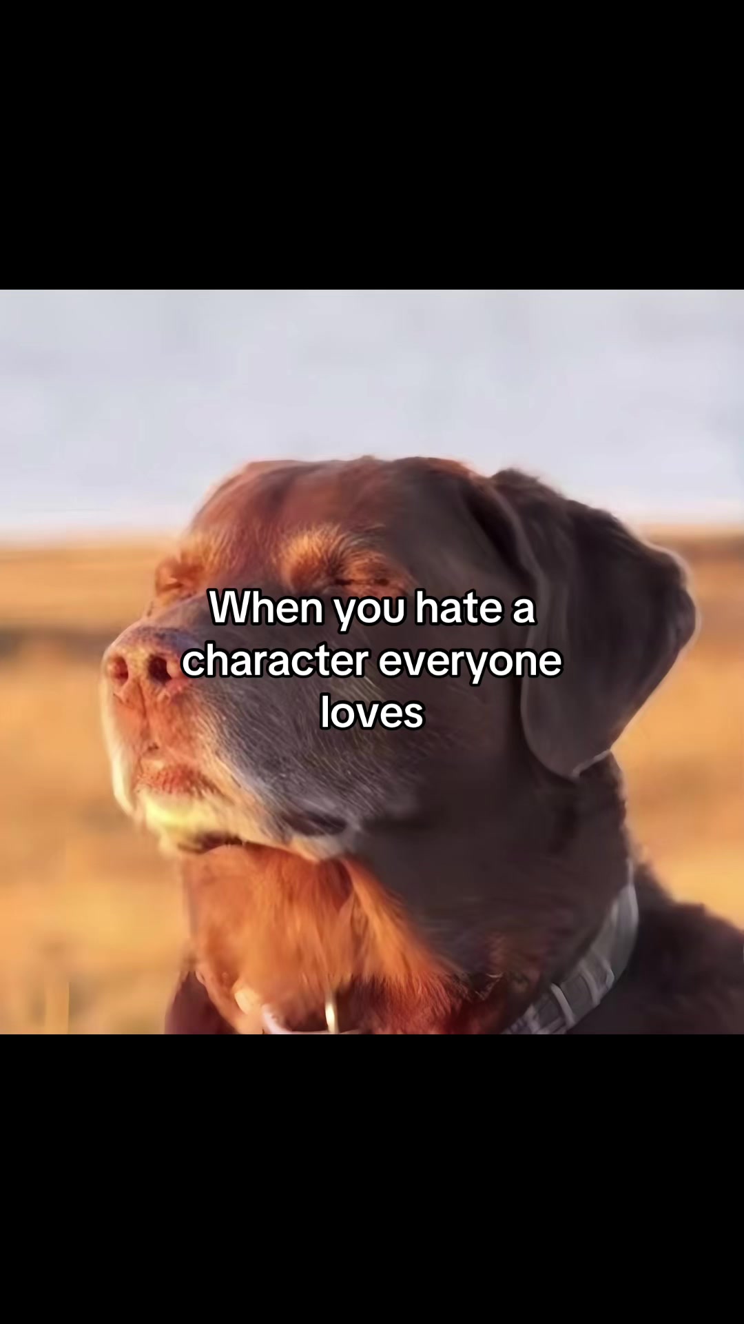 @havin.kanae