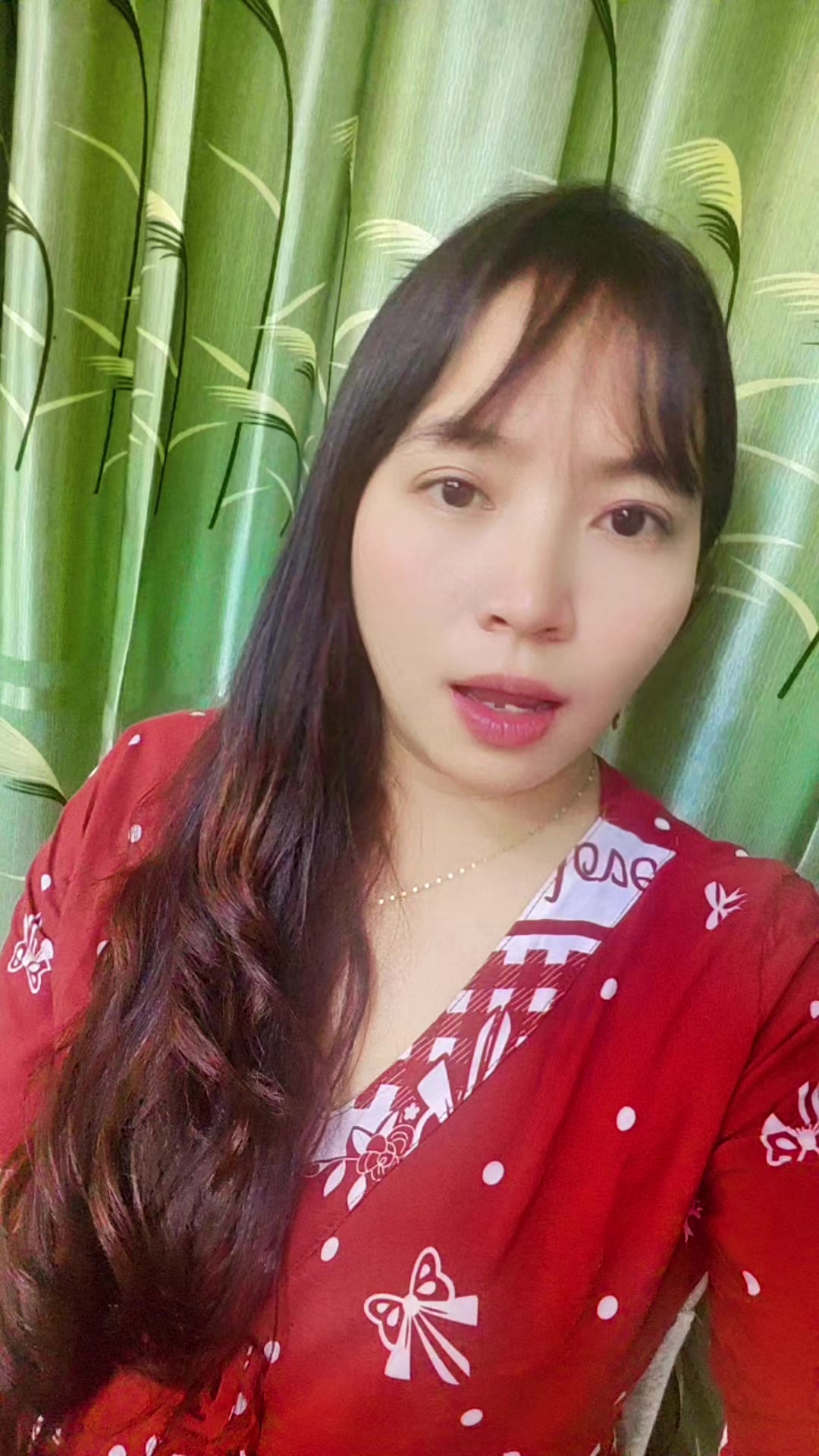 @han ni