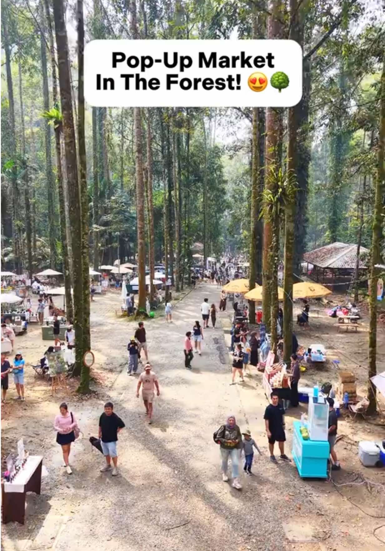 @Places Malaysia