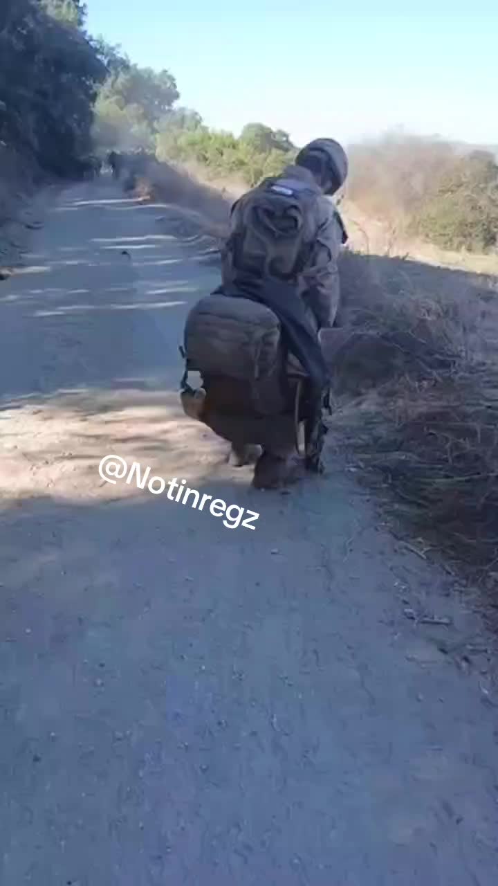 @notinregz