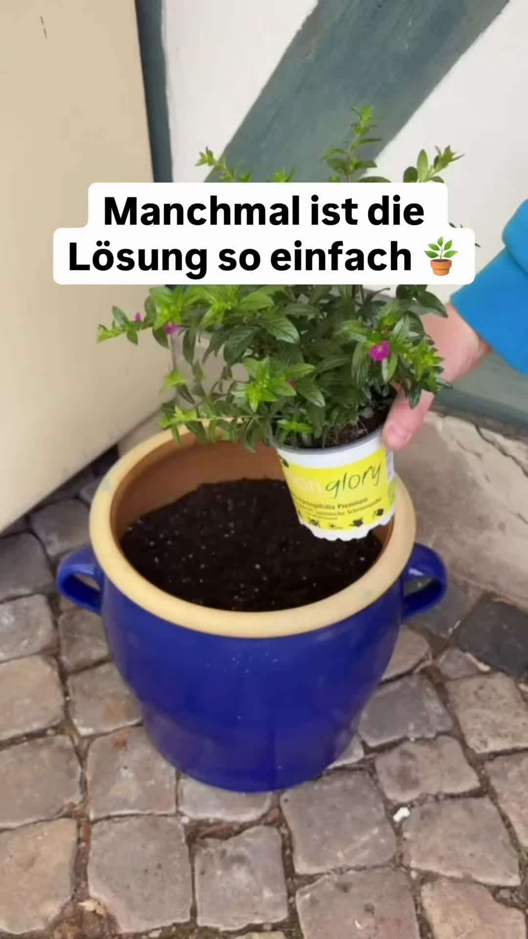 @CEO of Lifehacks 💡