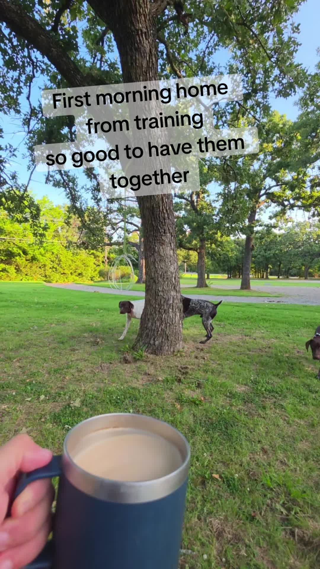 @GSP Family