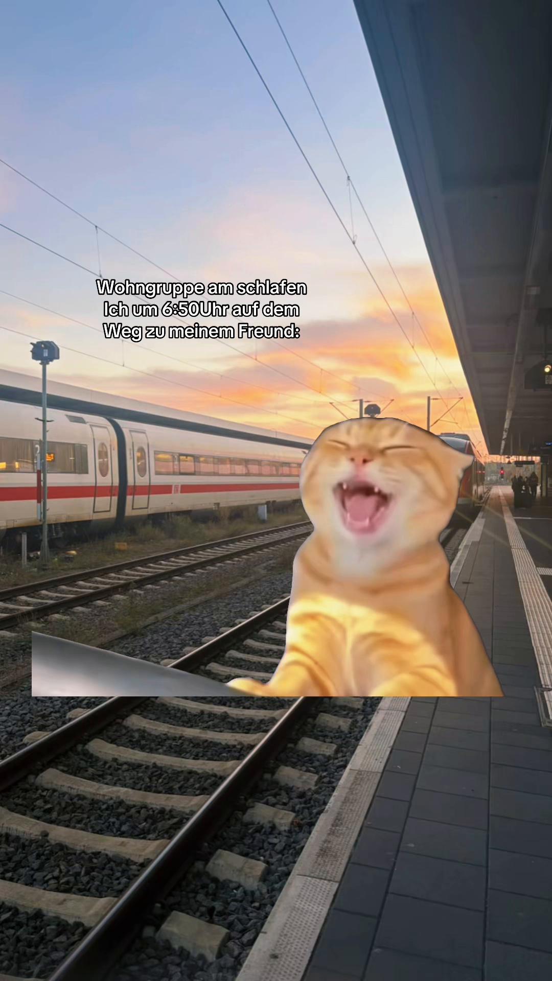 @🇩🇪♈️ P