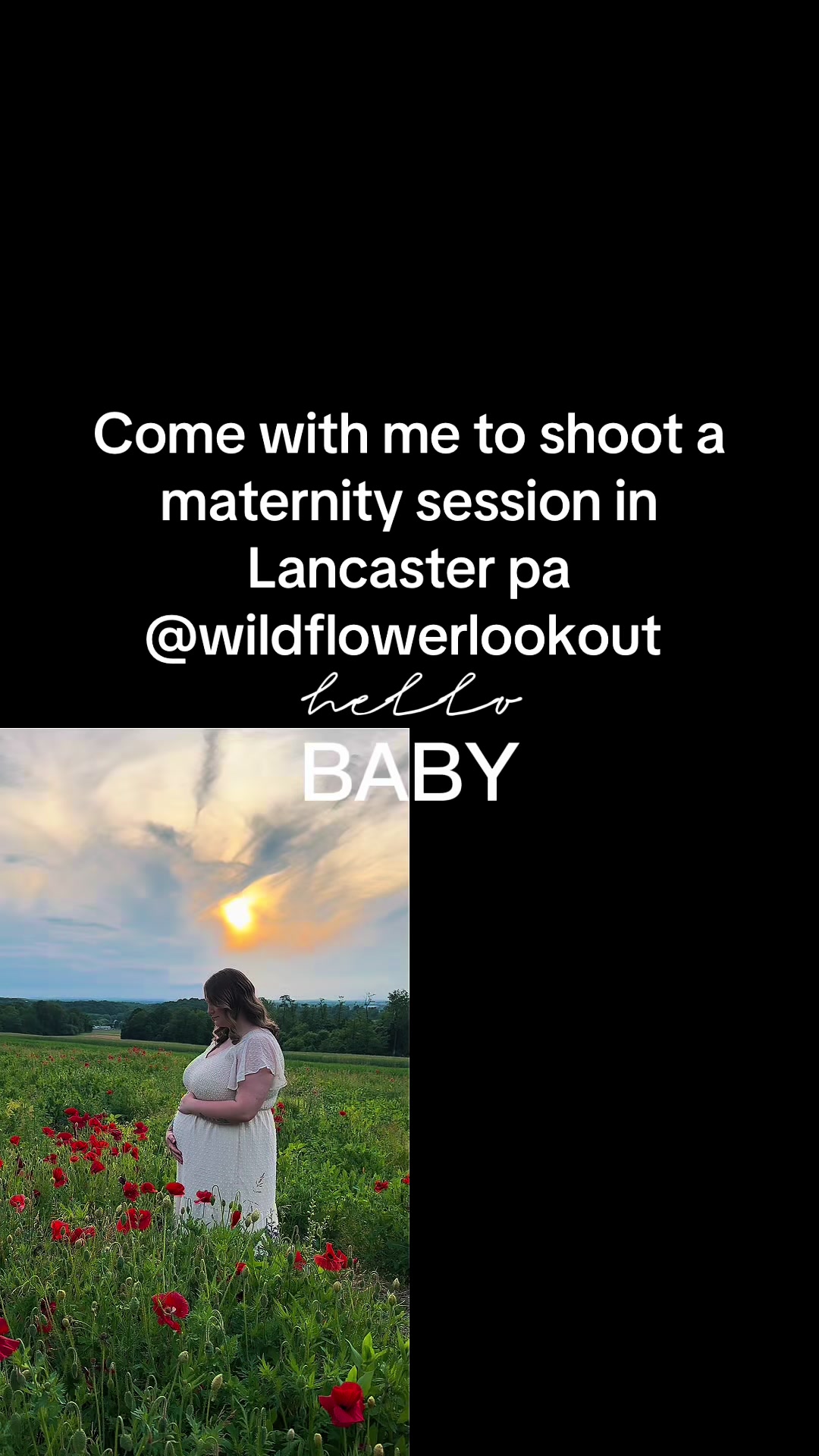 @WildMeadowPhotography