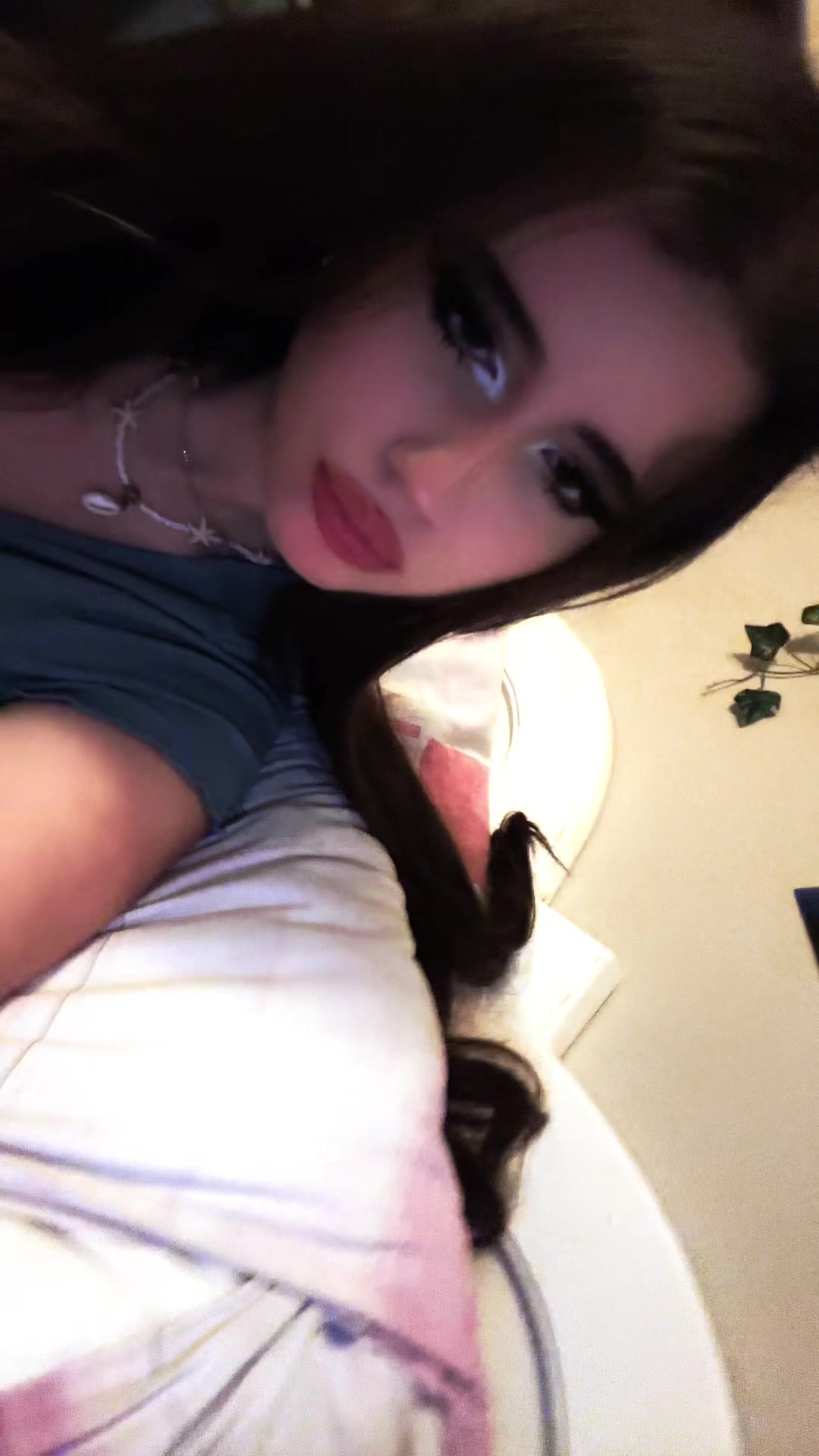 @chatdinosaure