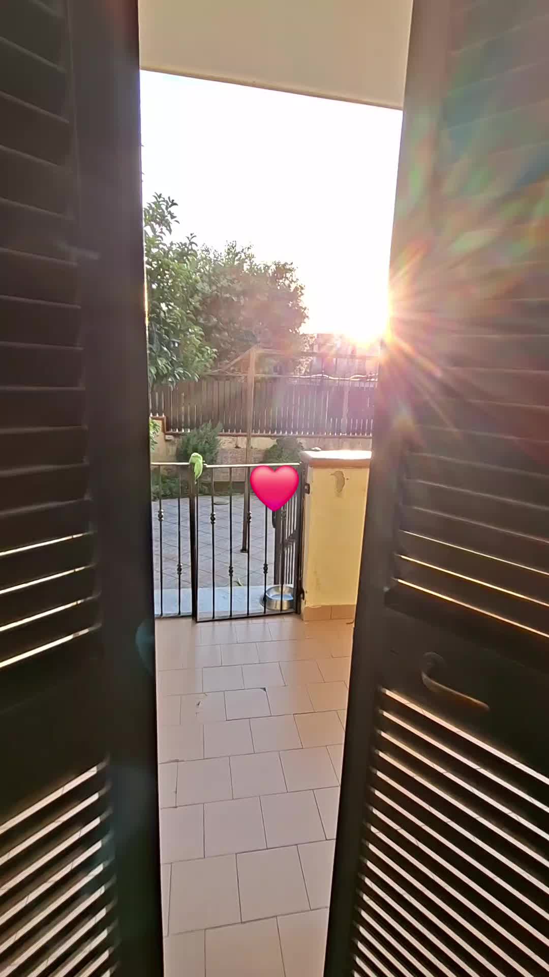 @Maria Varriale🌹