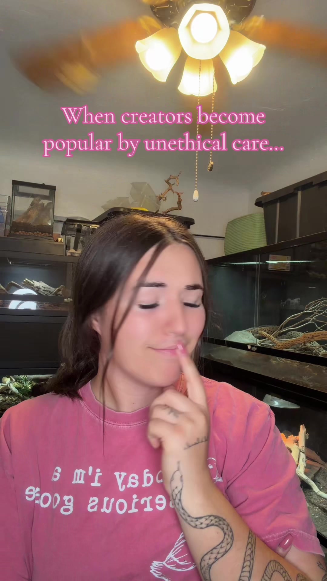 @Katie | my personal zoo 🦎🐰