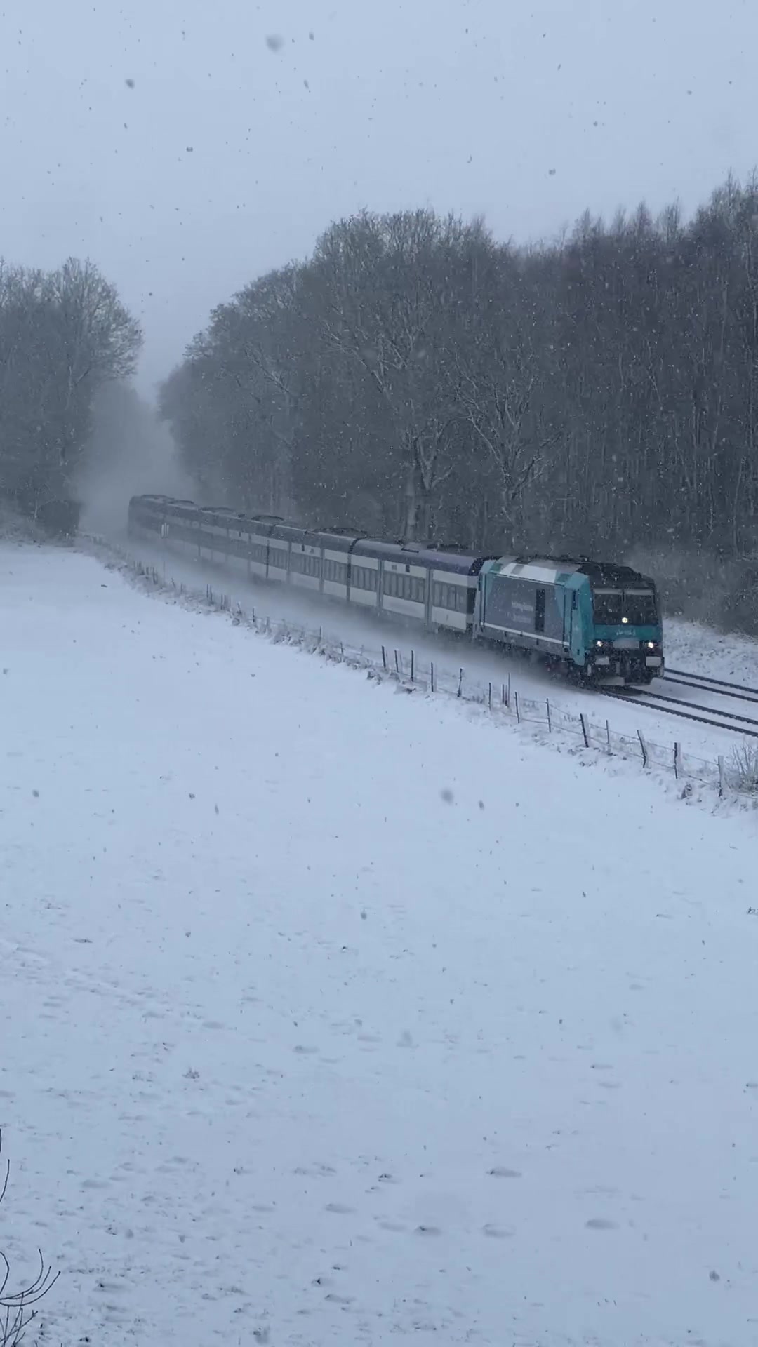 @Dieselparadies.Marschbahn