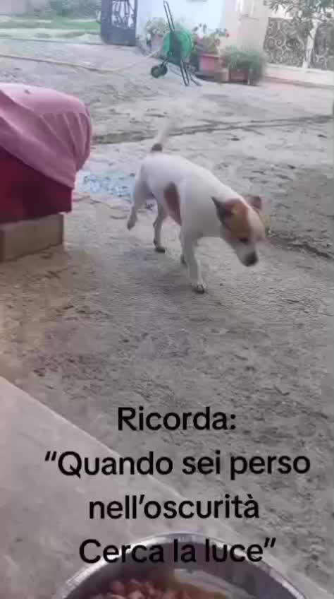 @ELETTRA L'ANIMALISTA