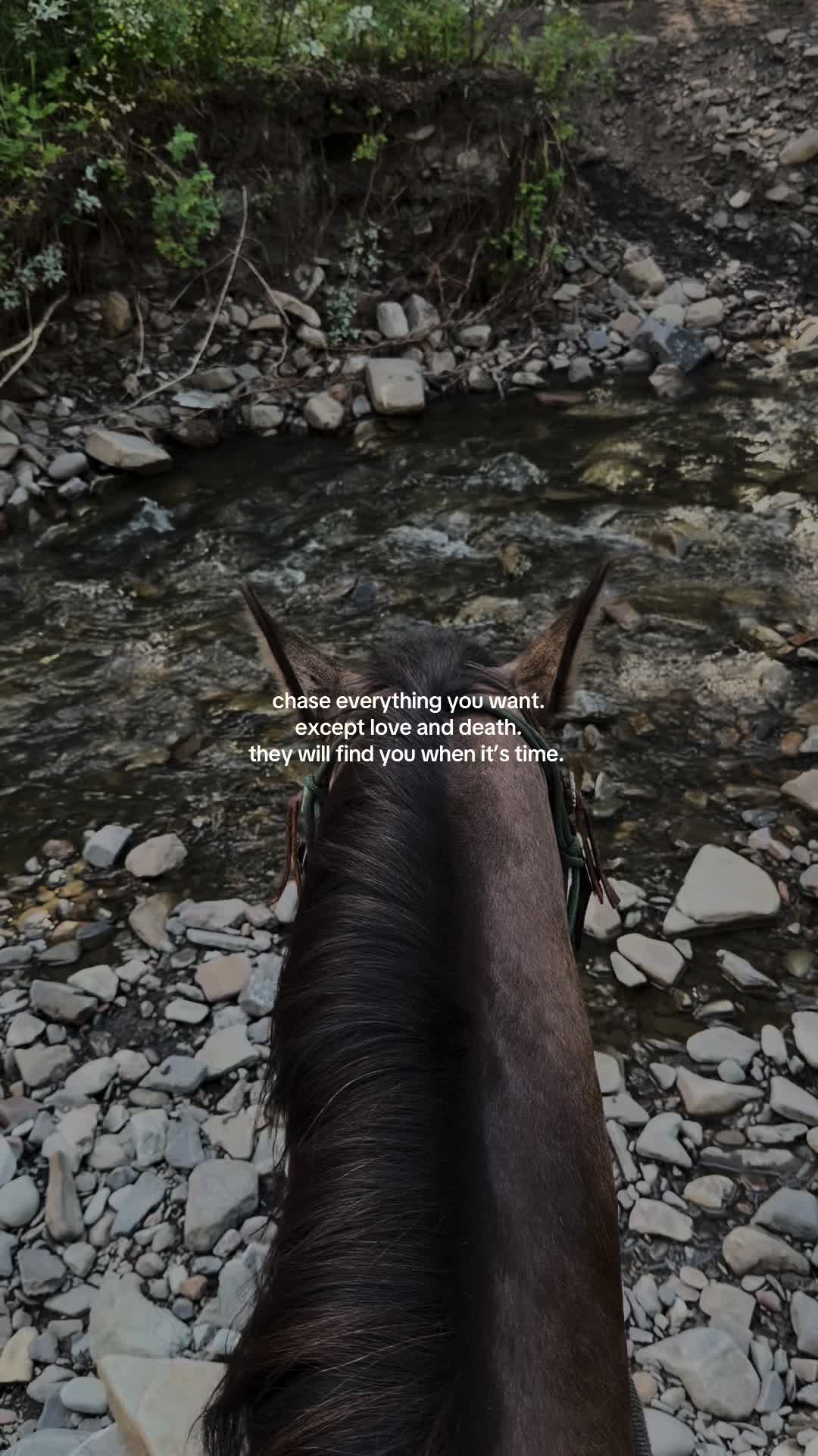 @Ranch Riders