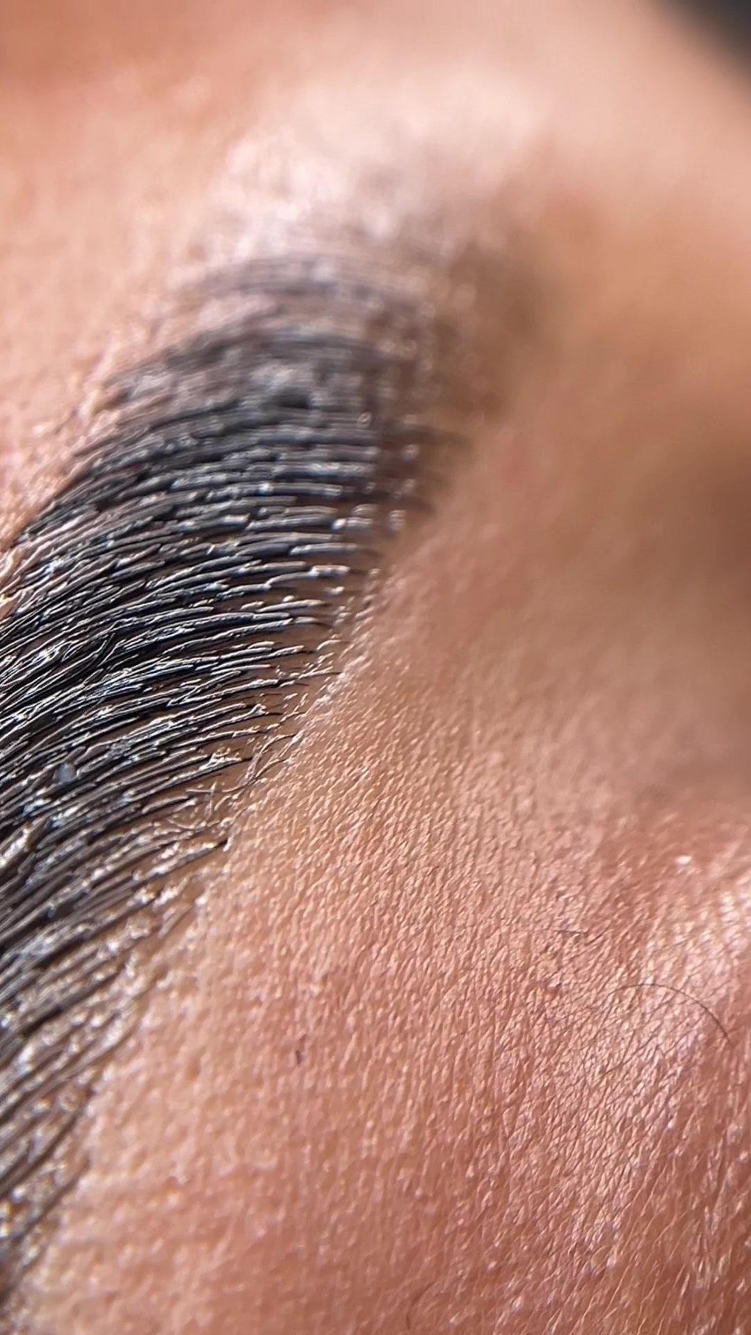 @browsbyshaniarose