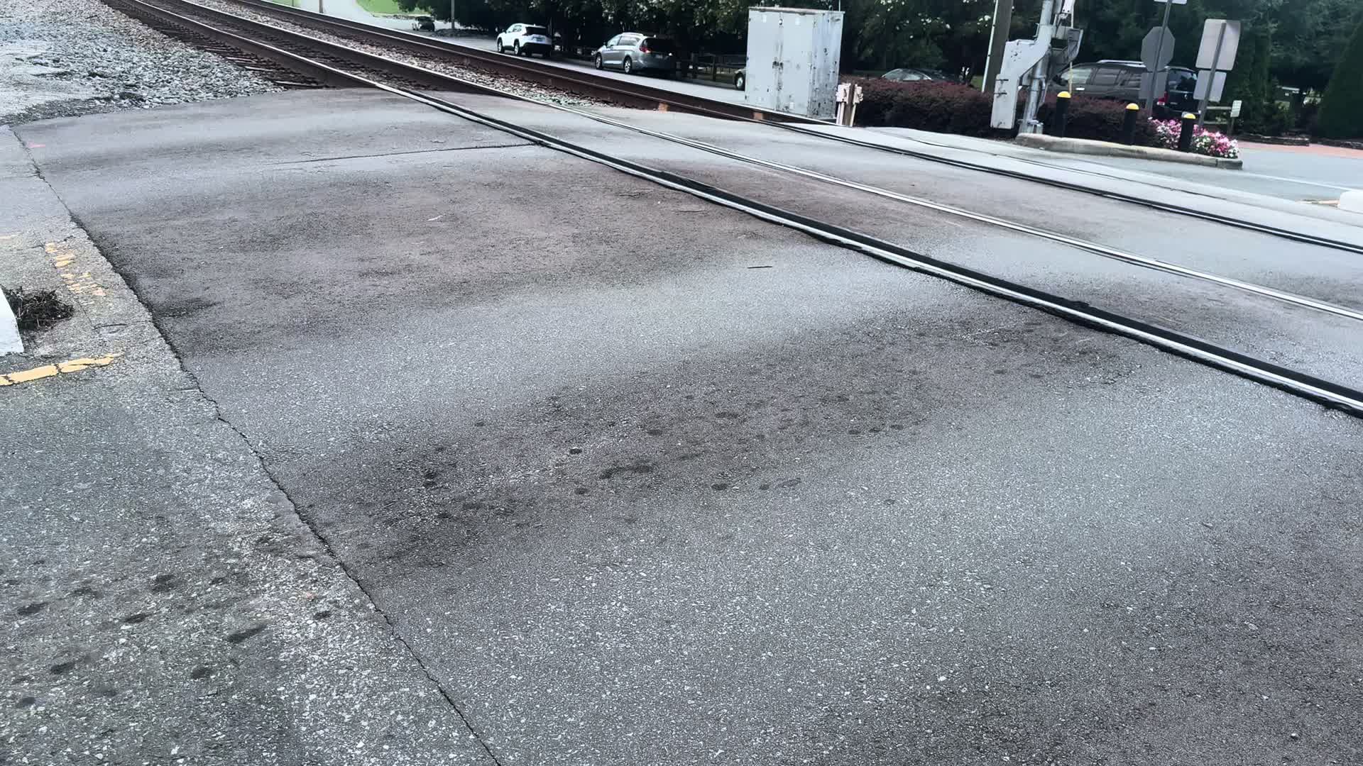 @mustard.railfan6767