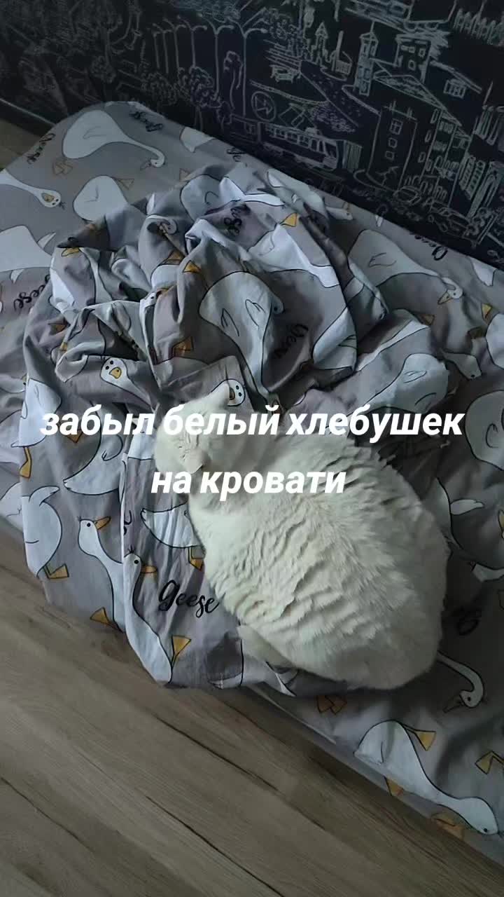 @advertb7