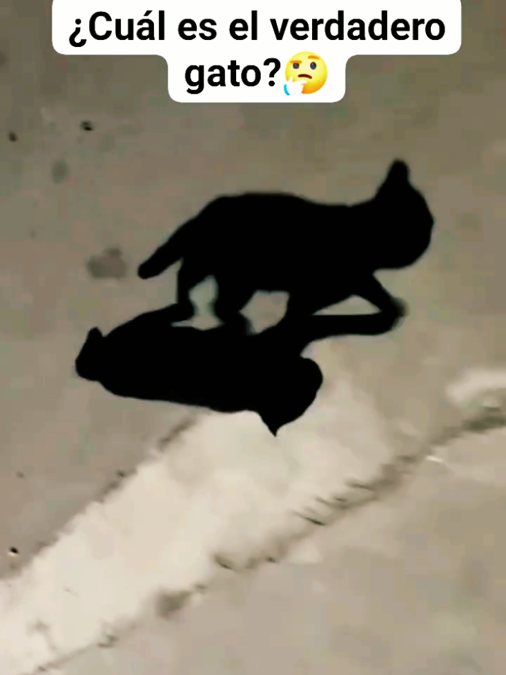 @Christian Jolón