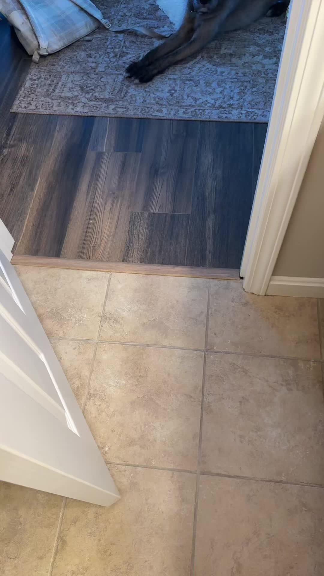 @SarahNotSara