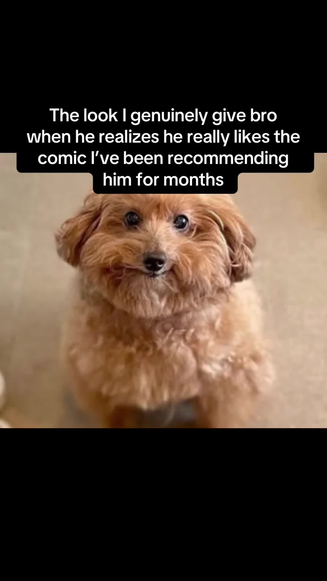 @NerdMite