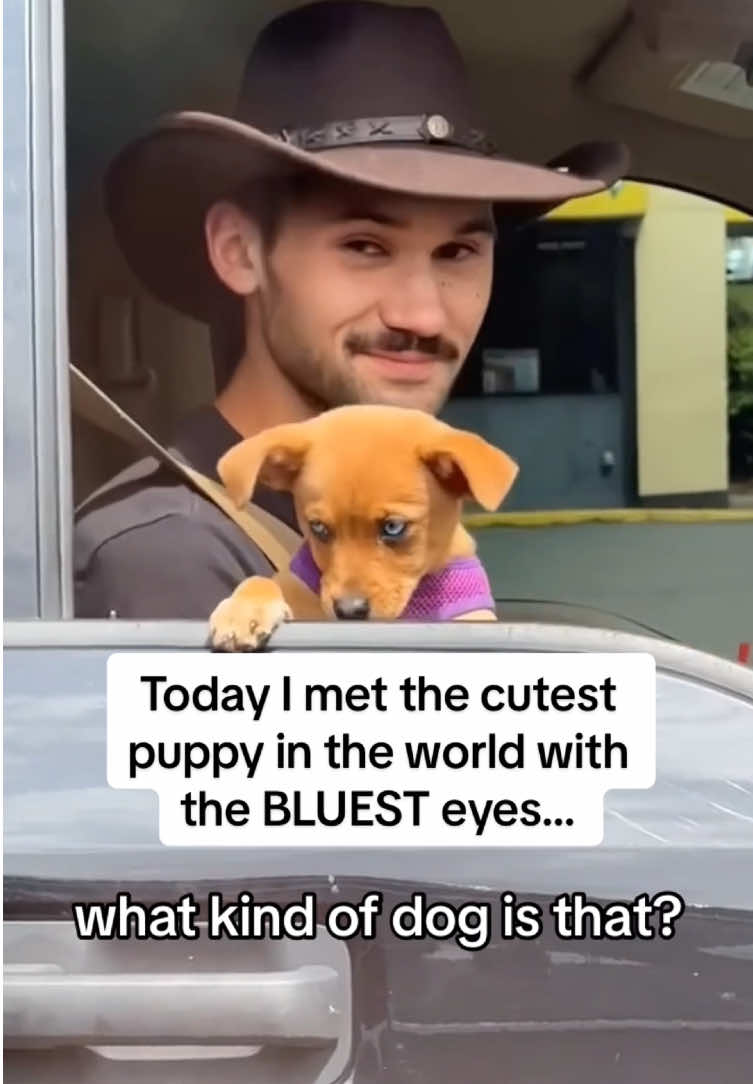 @Funny dogdia80