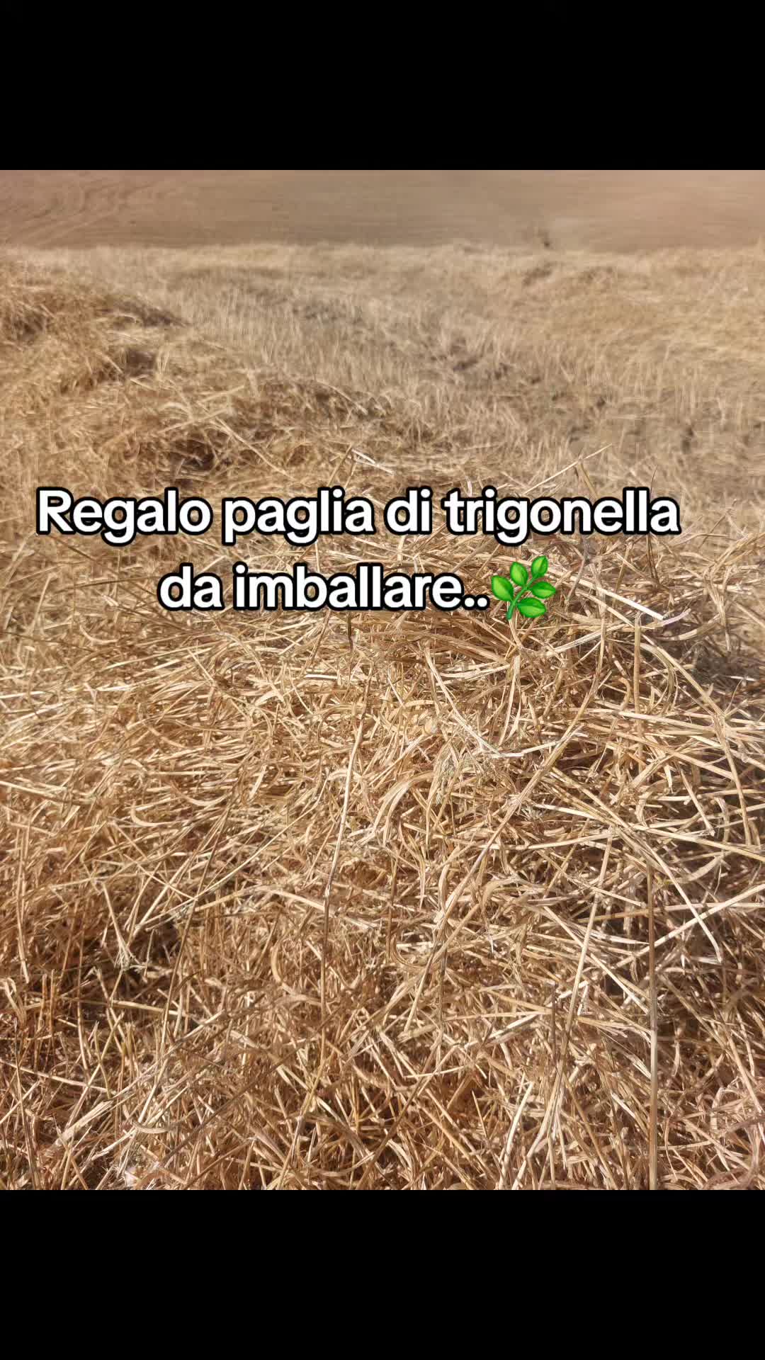 @laureato82