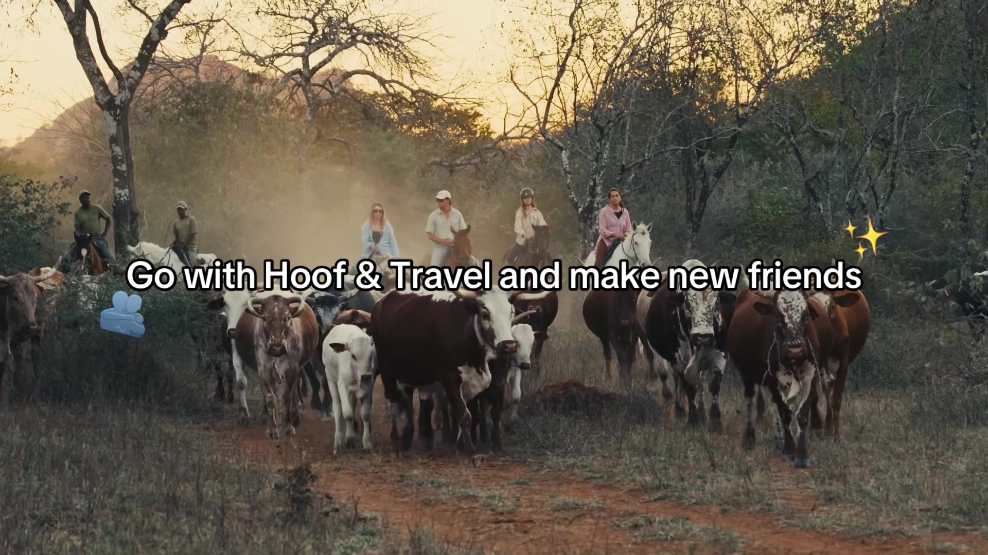 @Hoof & Travel 🐴🌍🐘