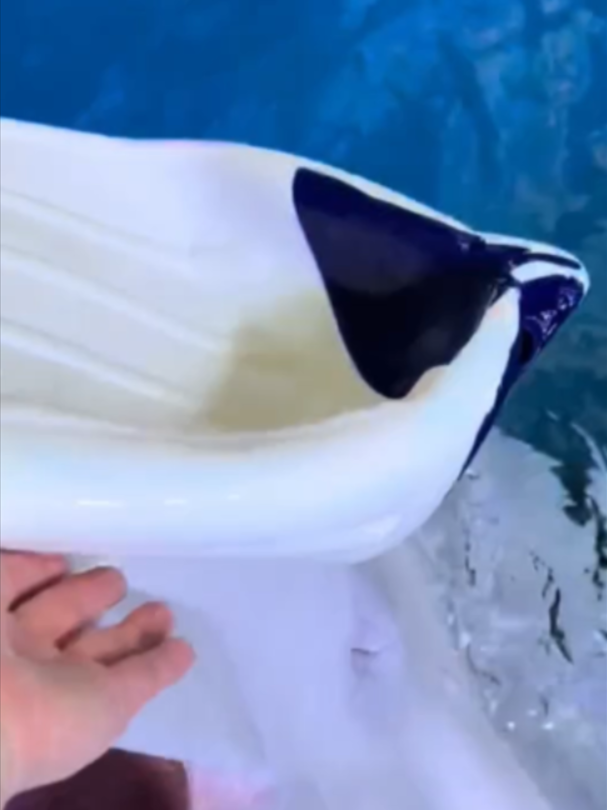 @Mundo dos Animais