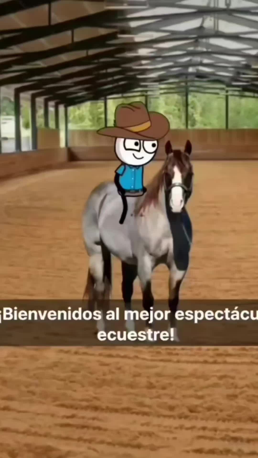 @Perchez5