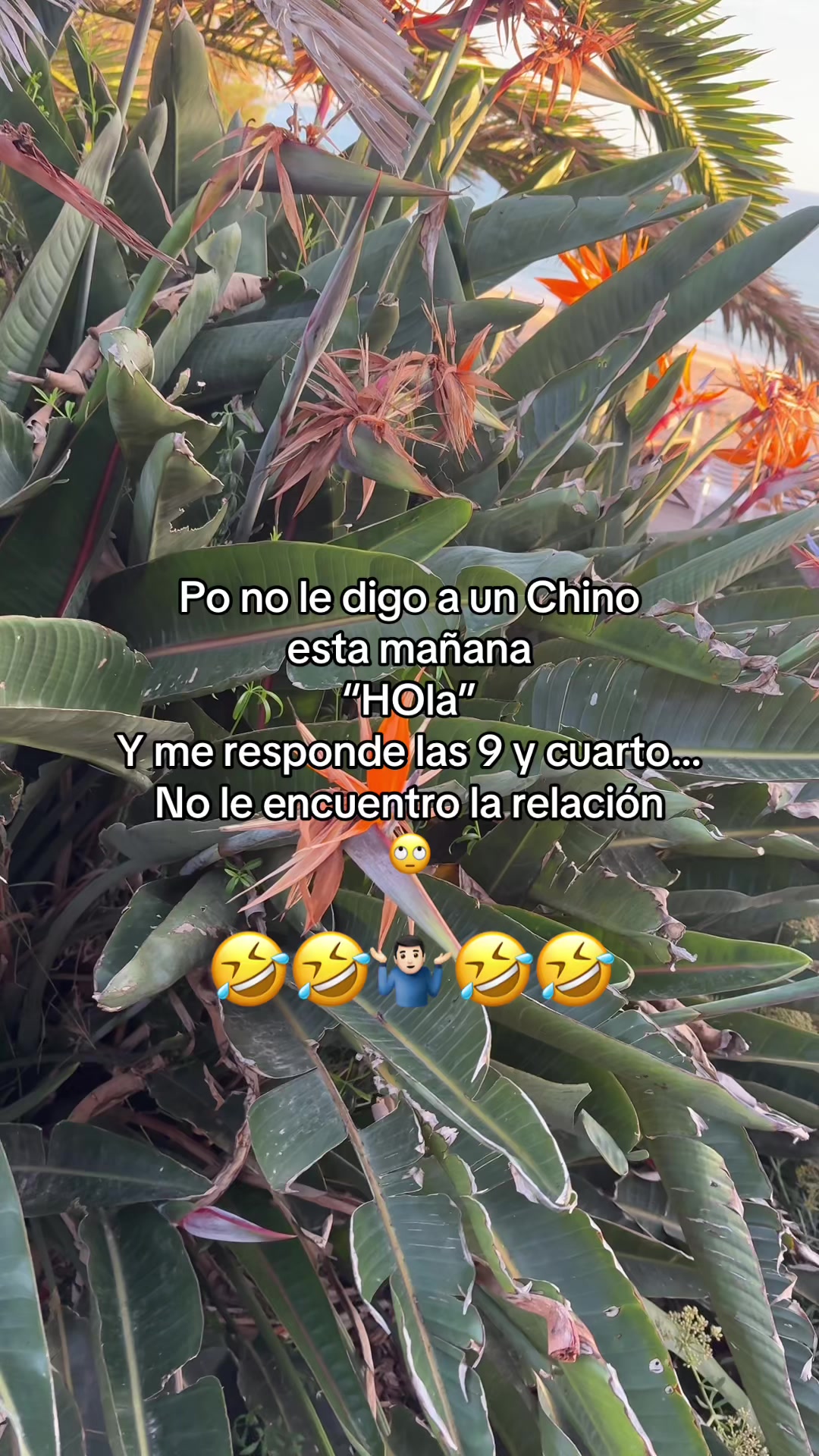 @💫Juan☄️