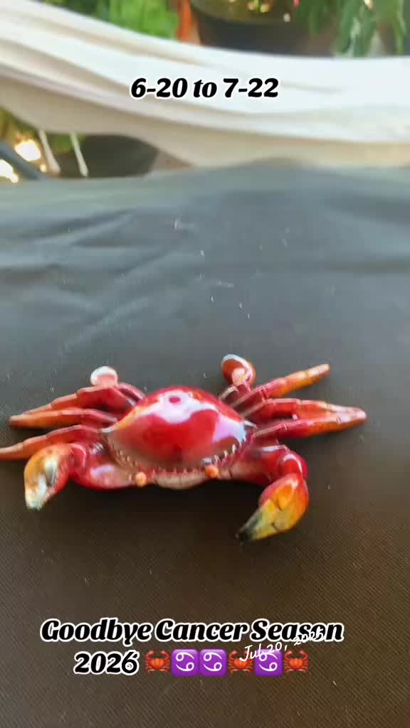 @Ramiro  Garza 🇲🇽