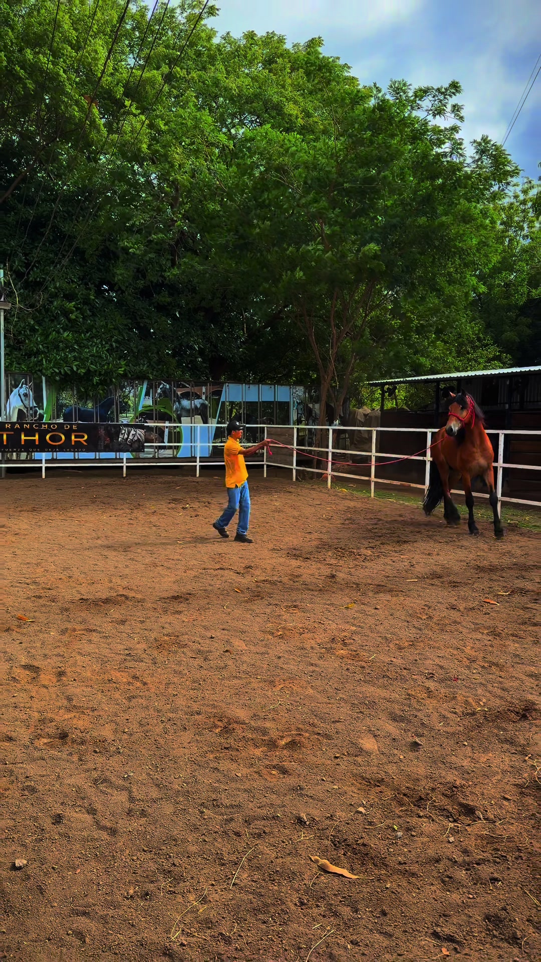 @EQUINOVET NICARAGUA
