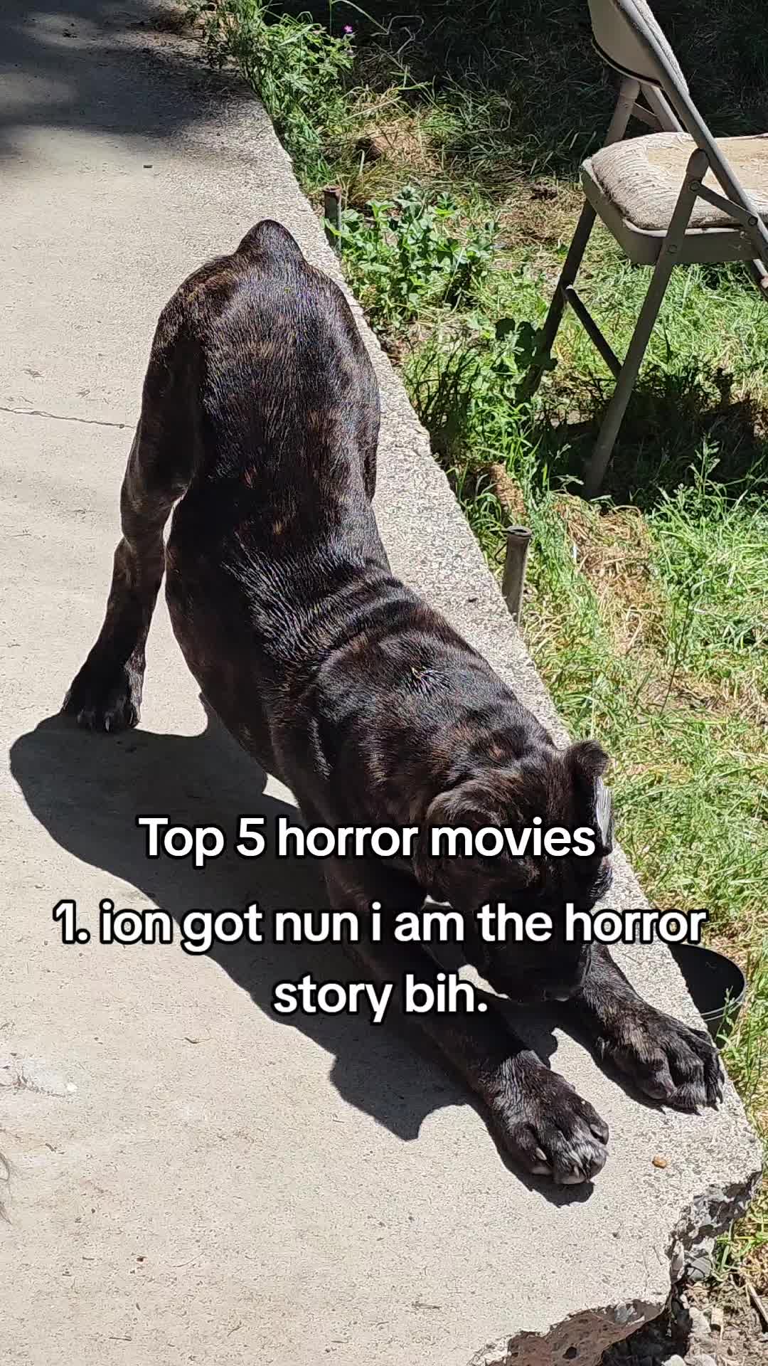 @SalmonCreekCaneCorso