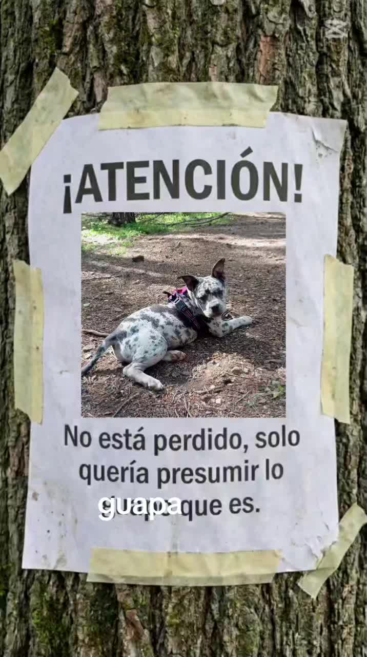 @kjjj