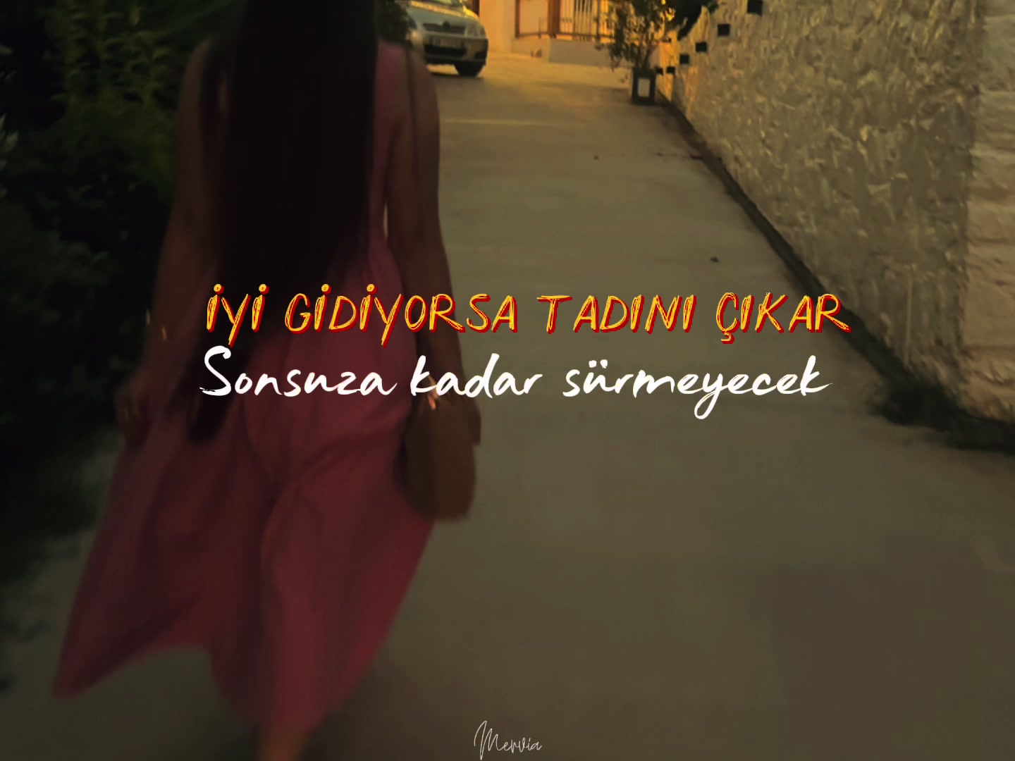 @Asli Erdem Shinwari