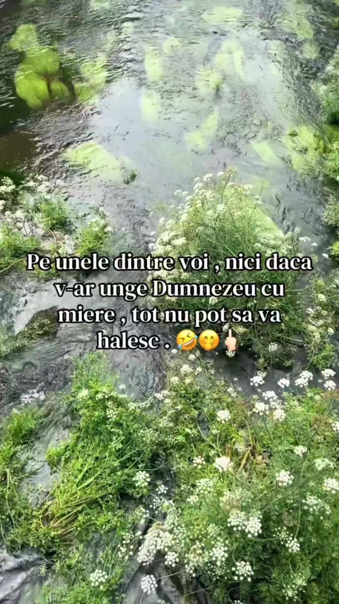 @👑