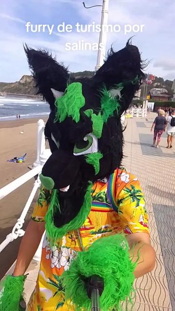 @baltowolf