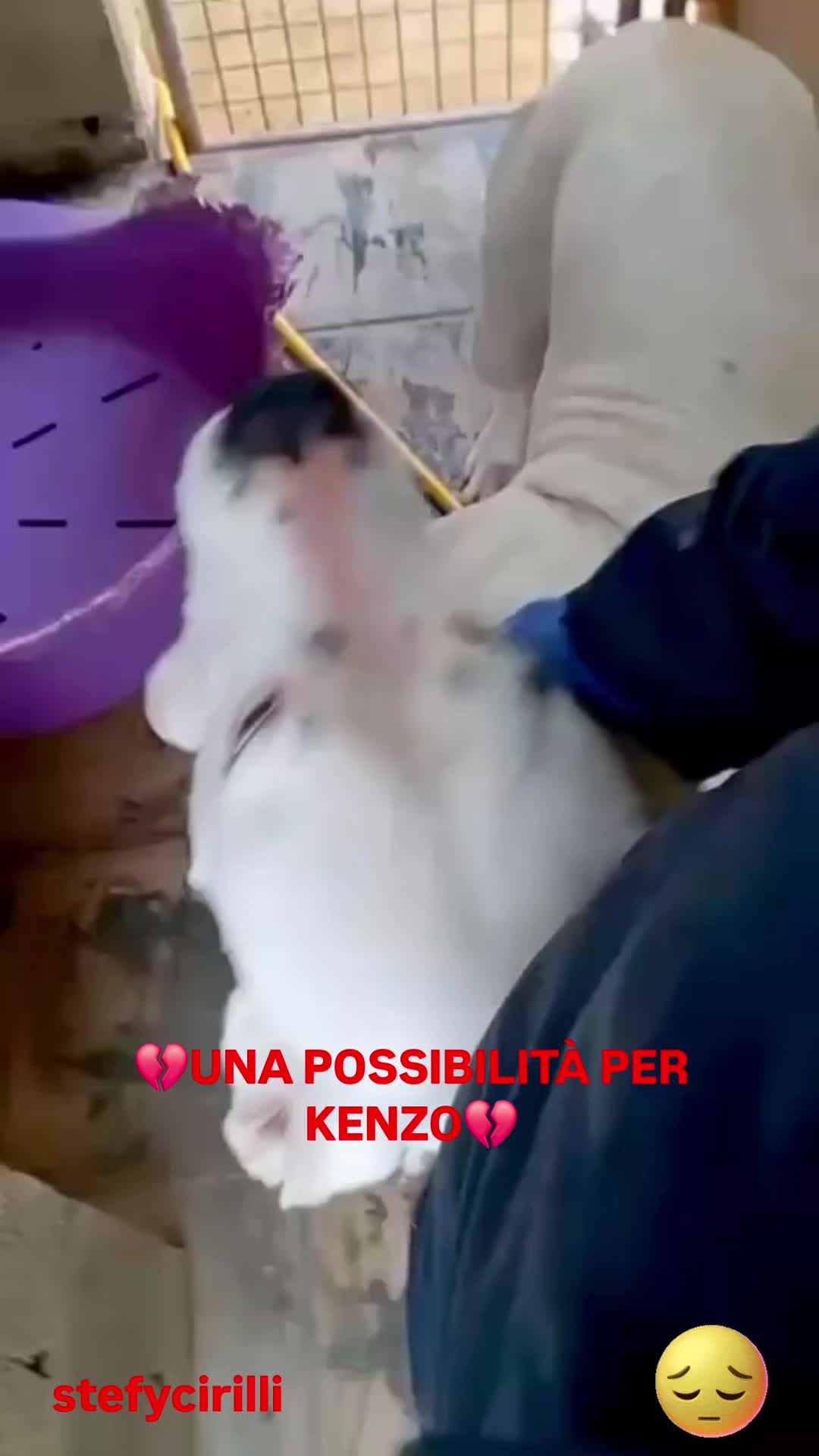 @Stefy Cirilli