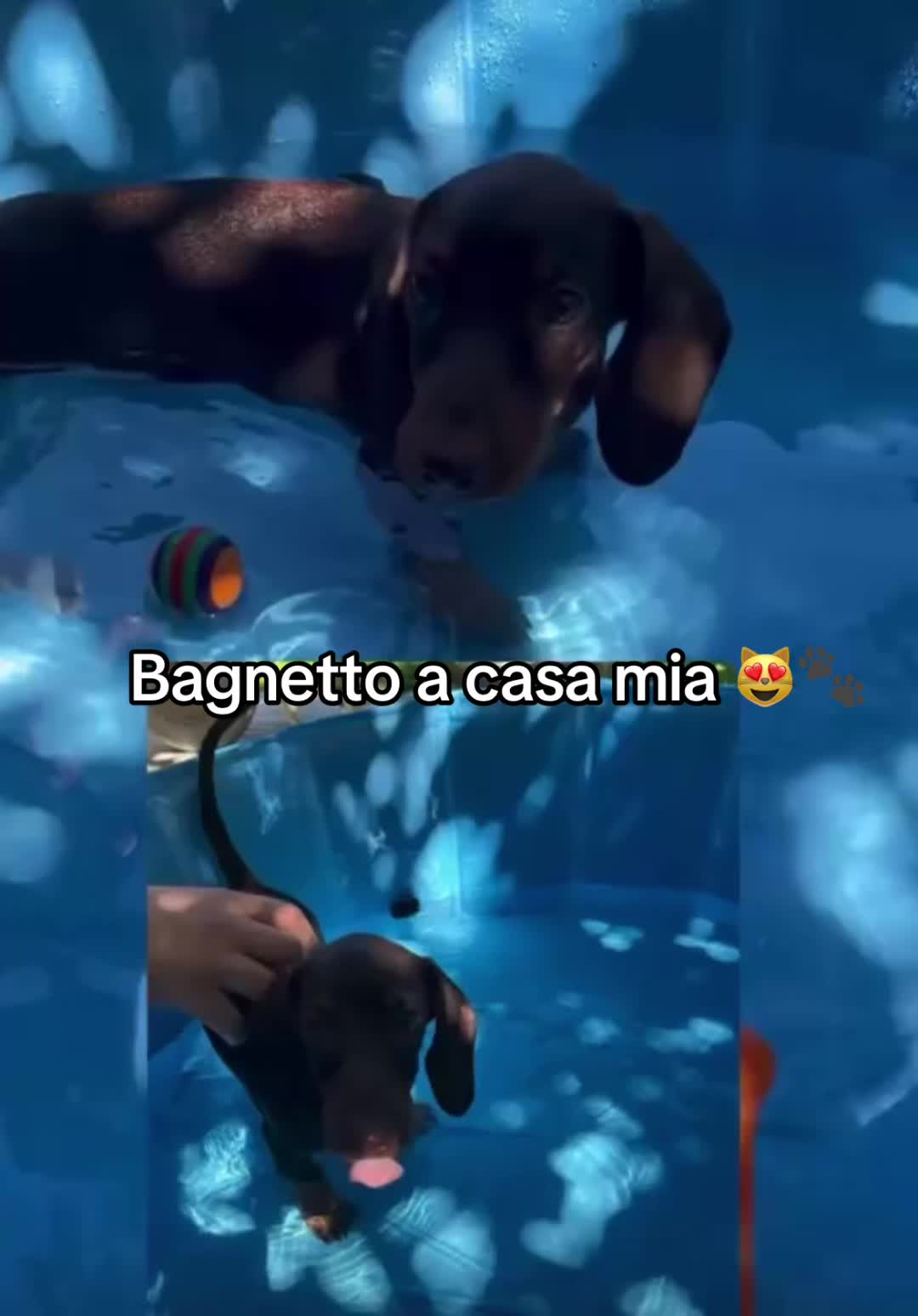@Maria Santaniello❤️
