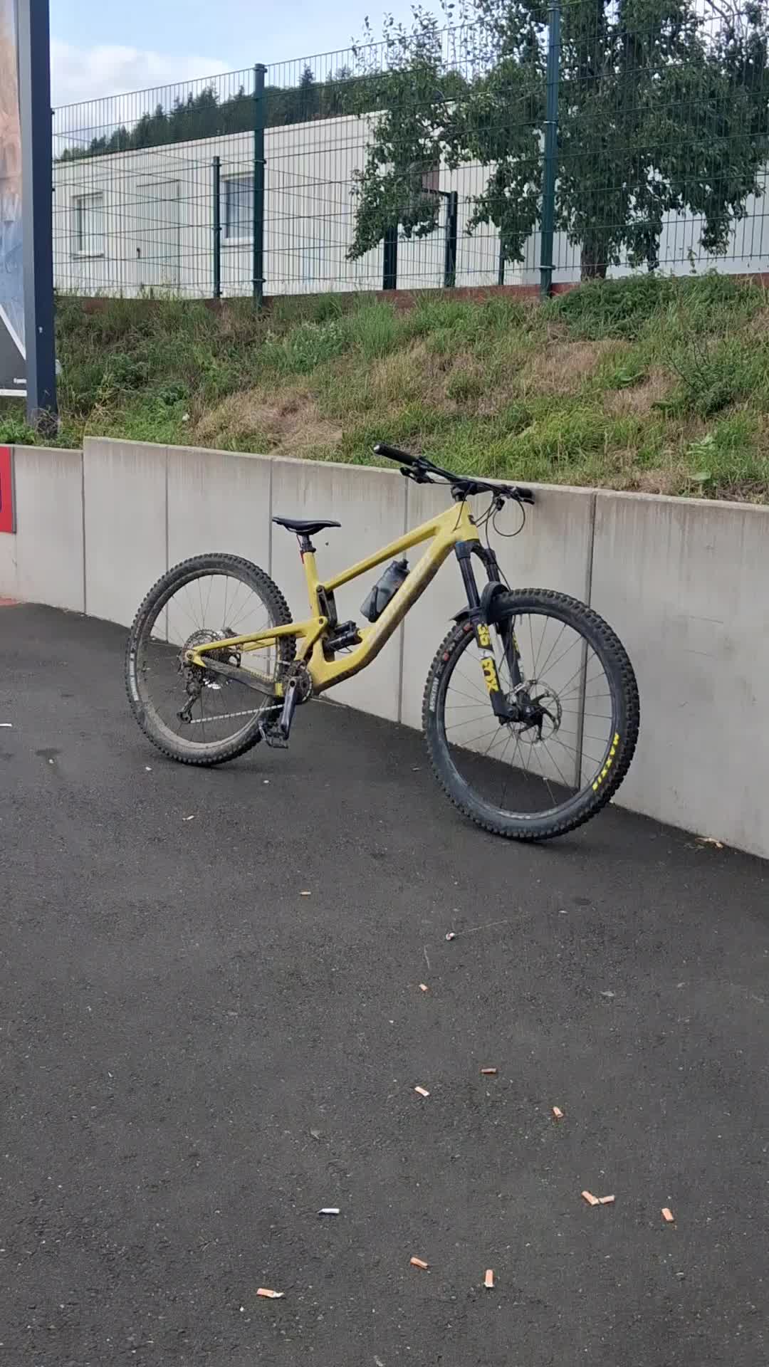 @Marlonebohne 🦫