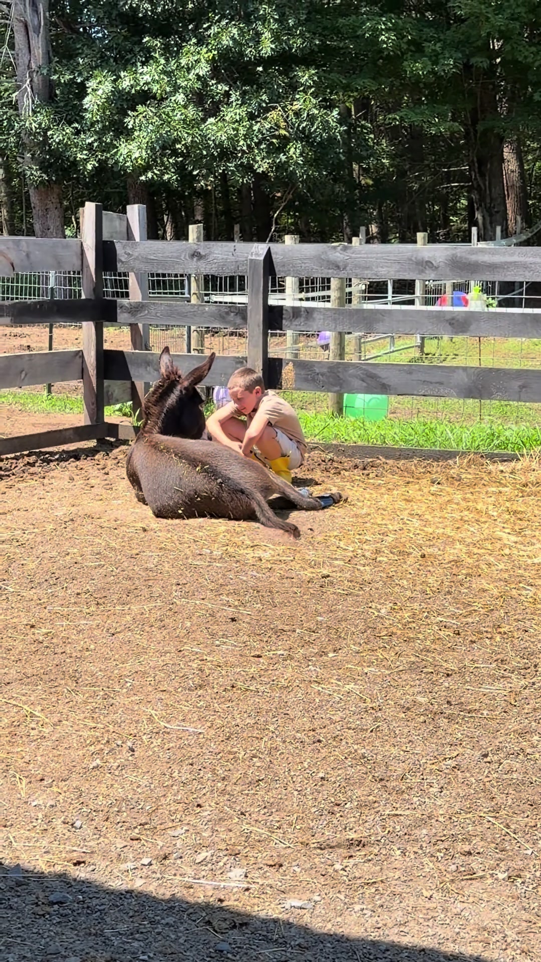 @Unshackled Hearts Ranch