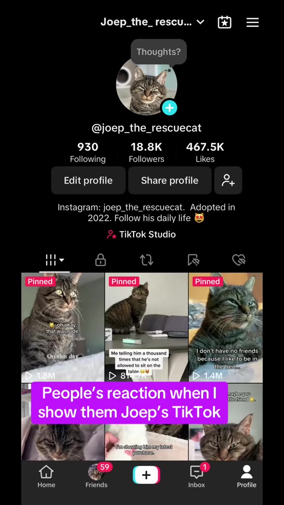 @Joep_the_ rescuecat