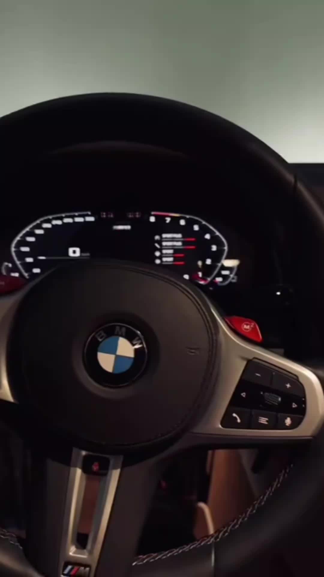 @Stephanie Seifert340