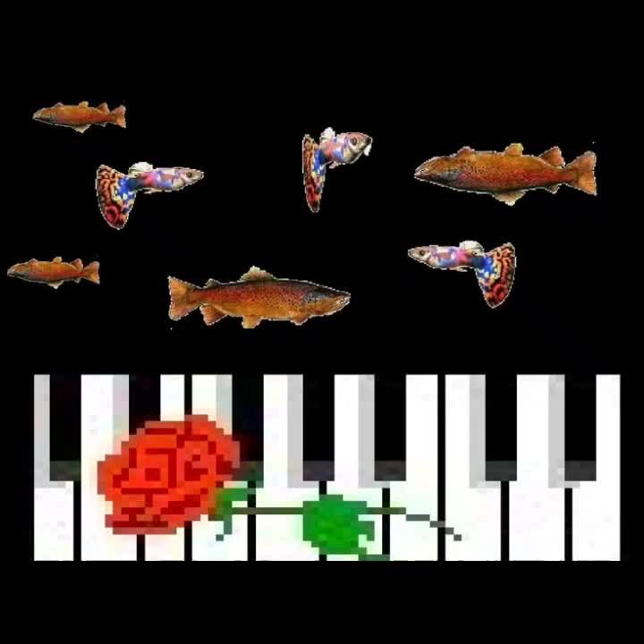 @weird side of internet
