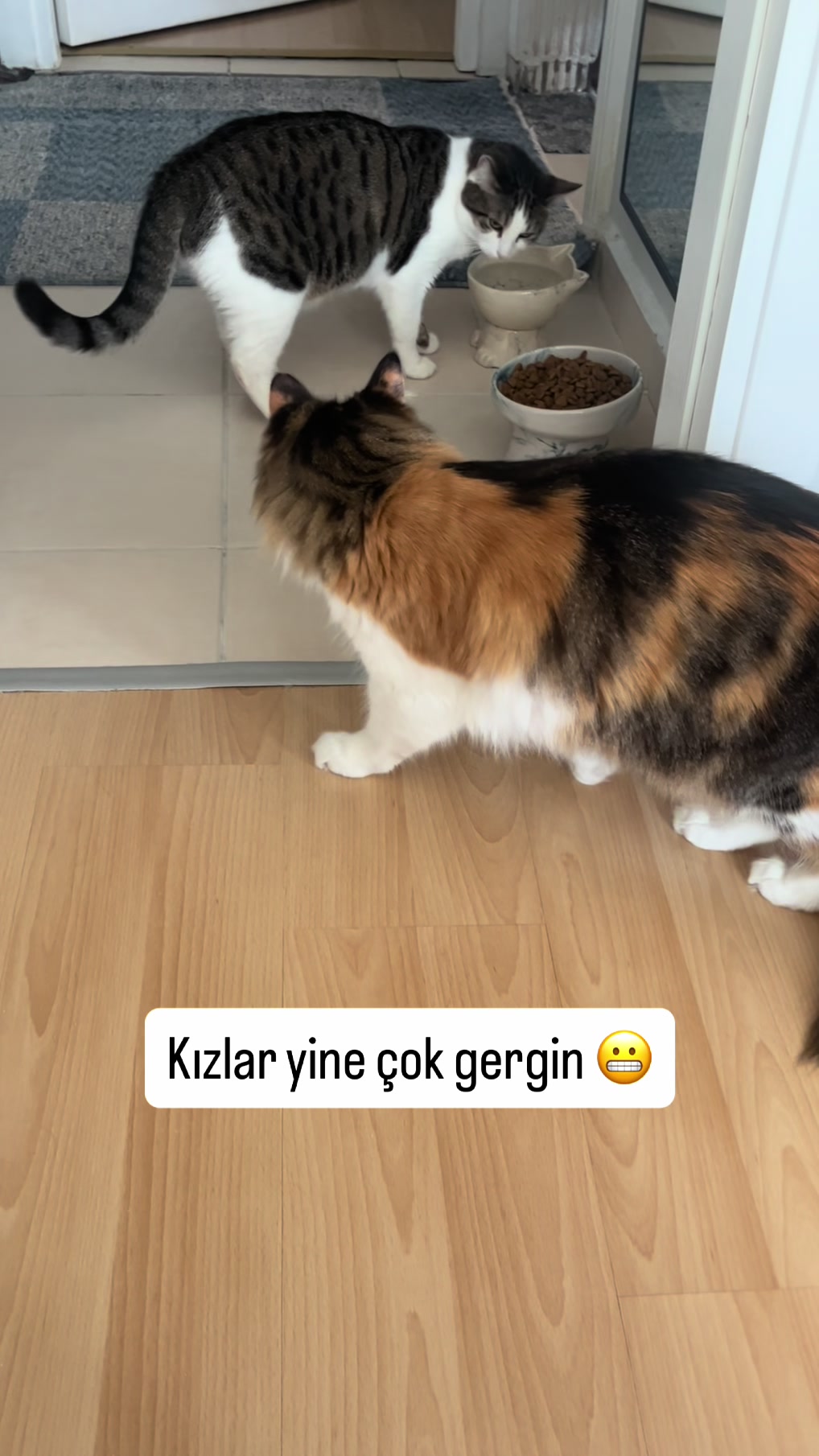 @konusankediminnos