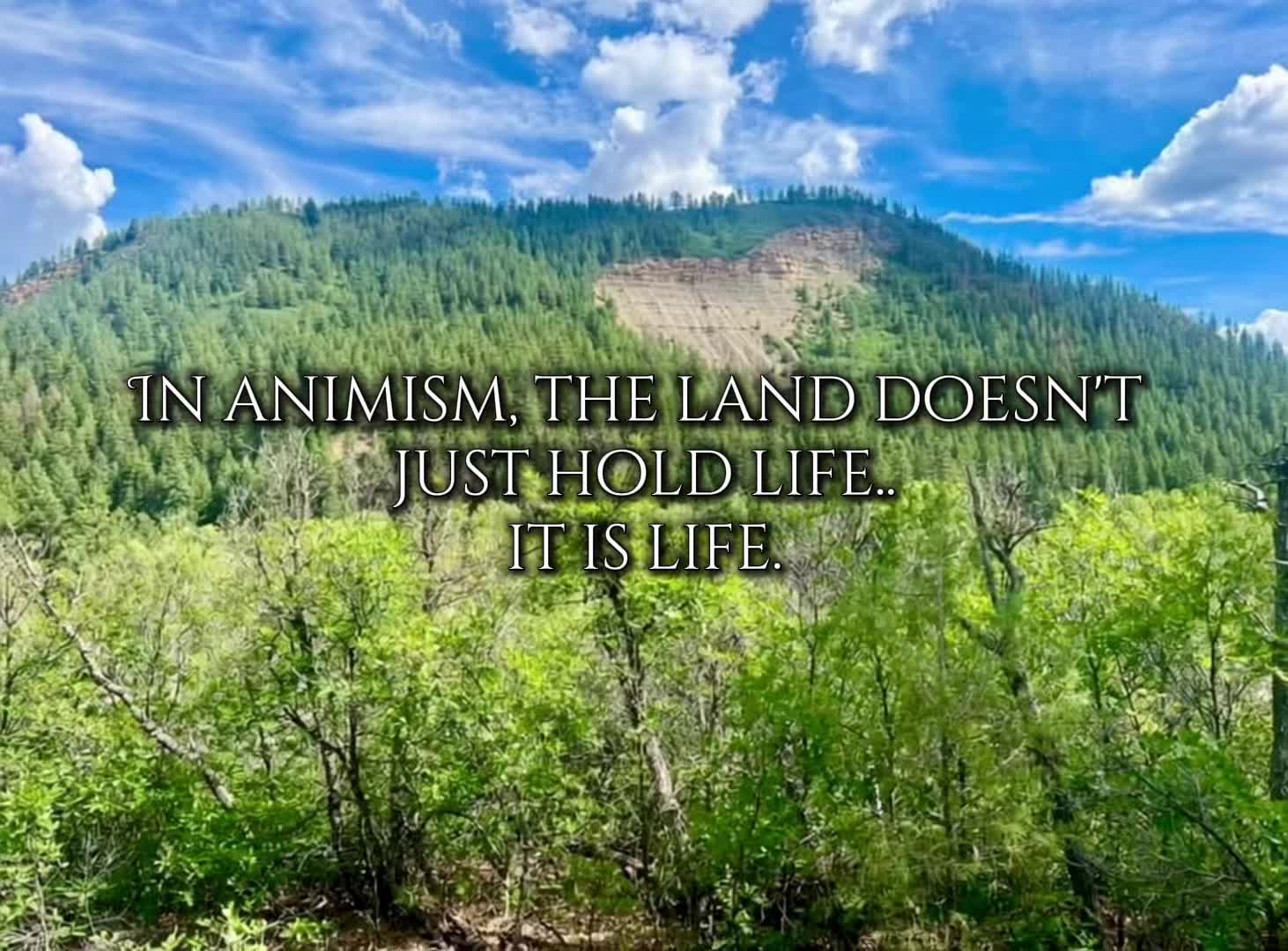 @Jasmin | A Rooted Life